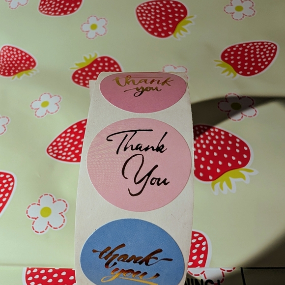 10 Huge 10x13 Strawberry Print Poly Mailers With 10 Thank You Stickers - Picture 6 of 7